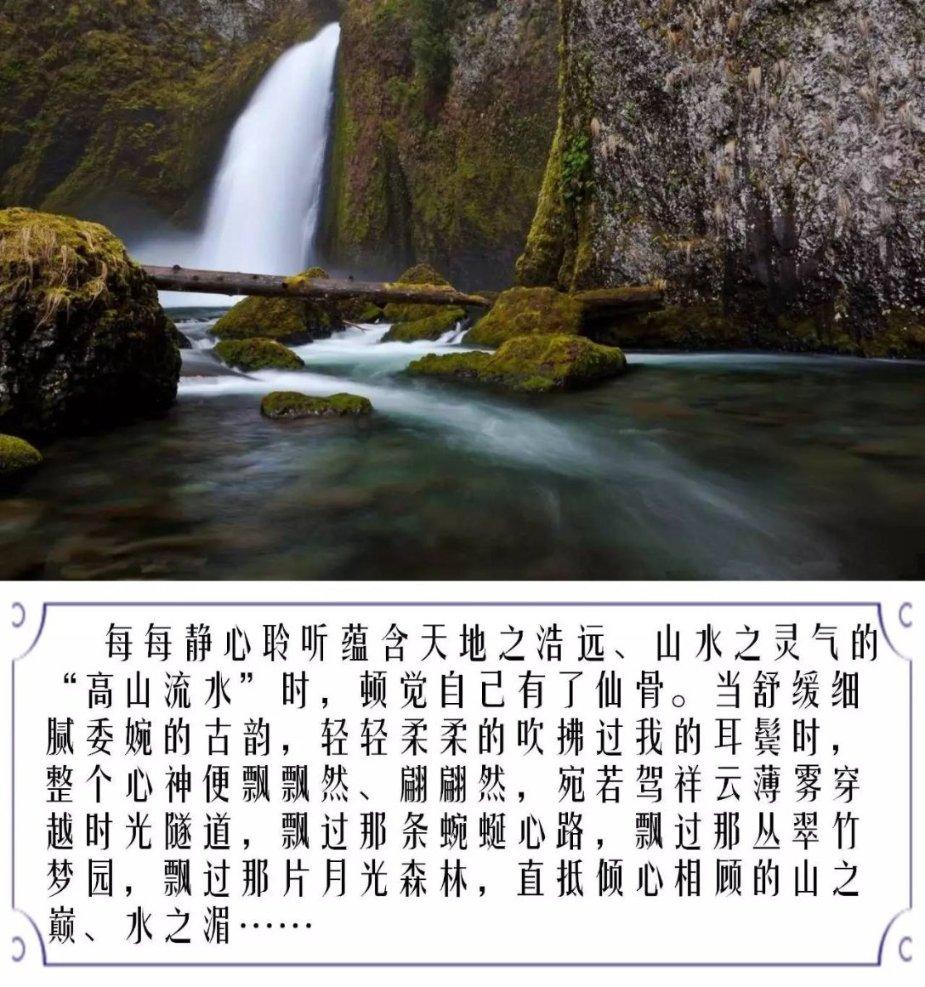 探探猫宝石岛3